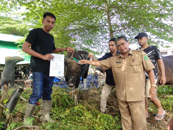 
Jelang Iduladha, Distanak Pastikan Hewan Kurban Dalam Keadaan Sehat