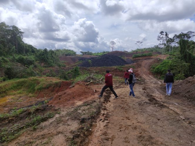 
Jatam Kaltim Sesalkan Aktivitas Tambang Ilegal di Wilayah Pengembangan Pangan