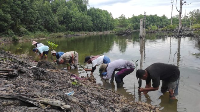 
 70 Ribu Mangrove Berhasil Ditanamkan oleh Planete Urgance dan Yayasan Mangrove Lestari di Muara Badak