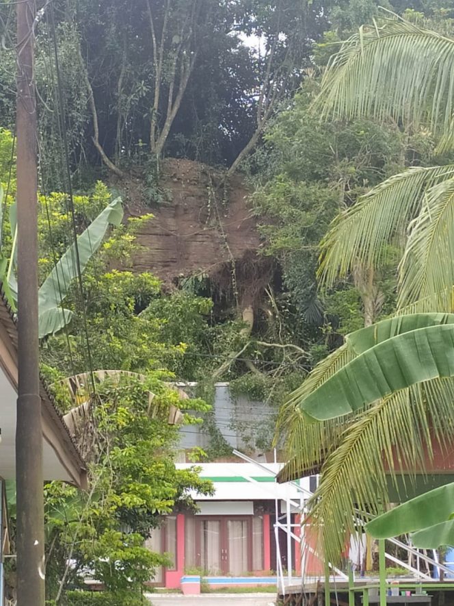 
 Kawasan Sekretariat Dekranasda Kukar Ditimpa Longsor, Satu Pohon Tumbang