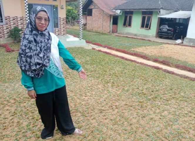 
Tidak hanya Sektor Pertanian, Warga Karang Tunggal Juga Kembangkan Budidaya Rumput Gajah