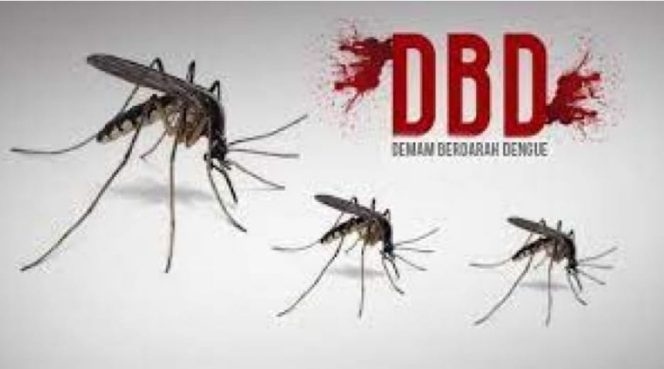 
Angka Kasus DBD di Kukar Alami Kenaikan