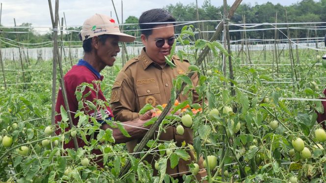 
TEKS FOTO : Wabup Kukar Rendi Solihin saat dilahan pertanian bersama petani (istimewa) 