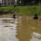 Teks foto : Pokdarwis Pela saat melakukan pembersihan sampah di sepanjang aliran sungai (istimewa/Sumber Foto : Pokdarwis Pela)