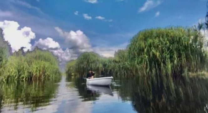 
Danau Muara Siran, Surga Gambut yang Menanti Sentuhan Infrastruktur Wisata