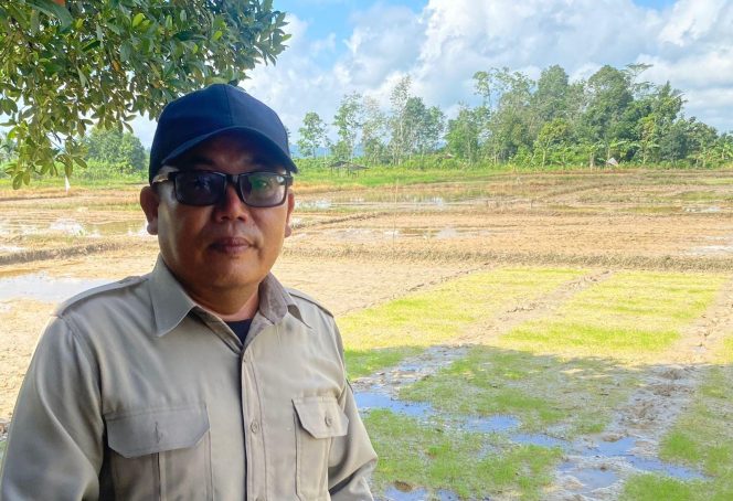 
Trichoderma untuk Petani Loa Duri Ulu, POPT Loa Janan Dorong Pencegahan Penyakit Padi Secara Alami