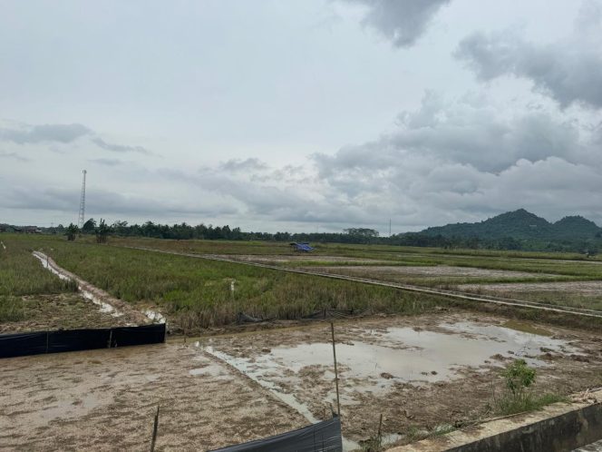 
Karang Tunggal Perkuat Pertanian dan Usaha Rumahan, Dukungan Pemerintah Jadi Kunci