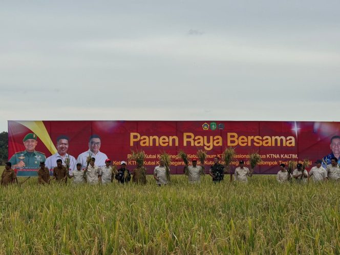 
Panen Raya di Loa Kulu Capai 7 Ton Gabah Kering, Melebihi Rata-Rata Produksi Kukar