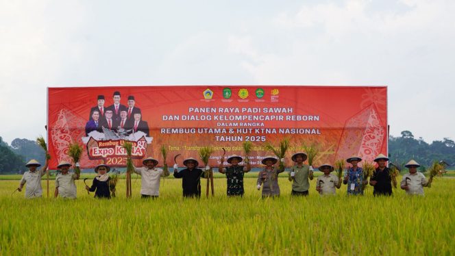 
Peserta Rembug KTNA Nasional 2025 mengikuti panen raya padi sawah di Kelurahan Mangkurawang, Tenggarong, Sabtu (20/9/2025). (Angga/okeborneo.com)