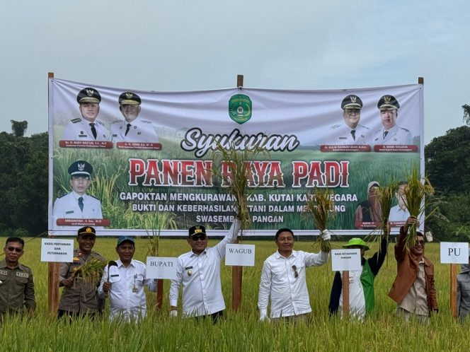 
Panen Padi di Mangkurawang, Gapoktan Harapkan Tambahan Bantuan Alsintan
