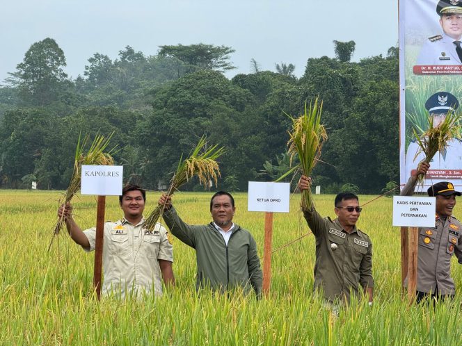 
Distanak Kukar Terus Dukung Sarana dan Prasarana Pertanian di Tenggarong