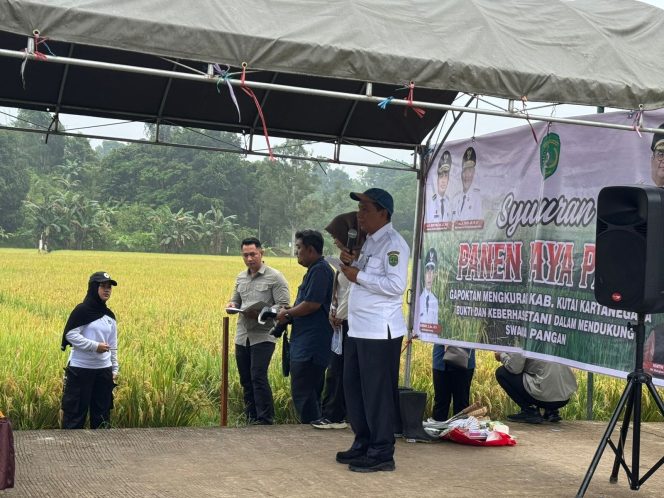 
Panen Raya di Mangkurawang, Pemkab Kukar Apresiasi Perjuangan Petani