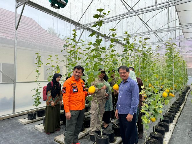 
Sekda Kukar Sunggono bersama civitas akademika Universitas Kutai Kartanegara (Unikarta) saat panen melon di greenhouse kampus, Kamis (19/9/2025). (Angga/Okeborneo.com)