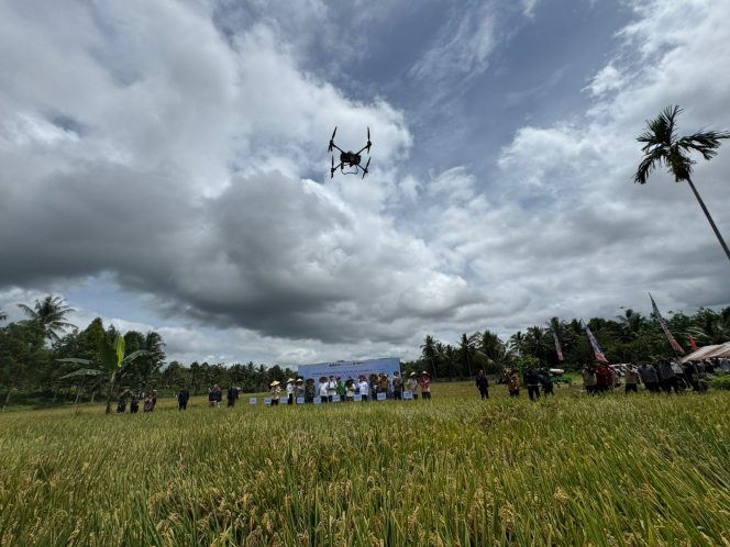 
Drone pertanian digunakan dalam panen perdana demplot padi varietas Leisa di Bukit Biru, Tenggarong, yang dihadiri Bupati Kukar Aulia Rahman Basri. (Kontributor Okeborneo.com)