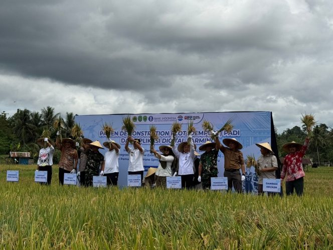 
13 Ribu Hektare Sawah Kukar Disiapkan Adopsi Digital Farming, Potensi 33 Ribu Ton Gabah