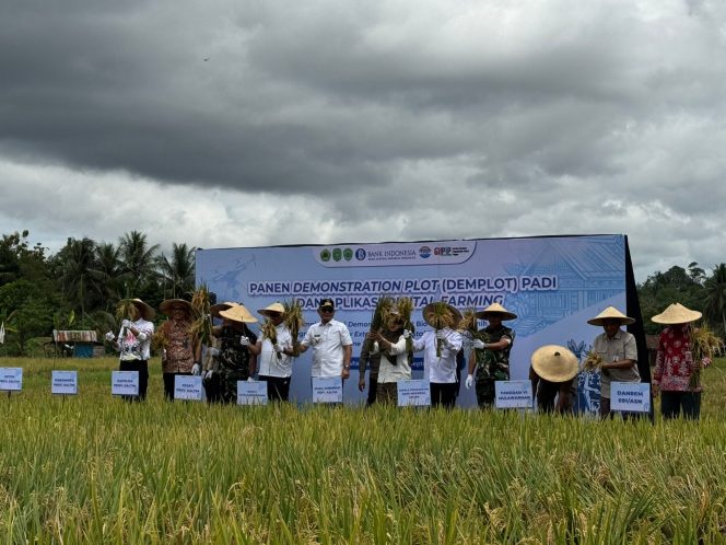 
Wakil Gubernur Kaltim H. Seno Aji bersama jajaran Forkopimda dan perwakilan instansi terkait mengikuti panen padi varietas Leisa di demplot Bukit Biru, Kutai Kartanegara, Jumat (12/9/2025). (Kontributor Okeborneo.com)