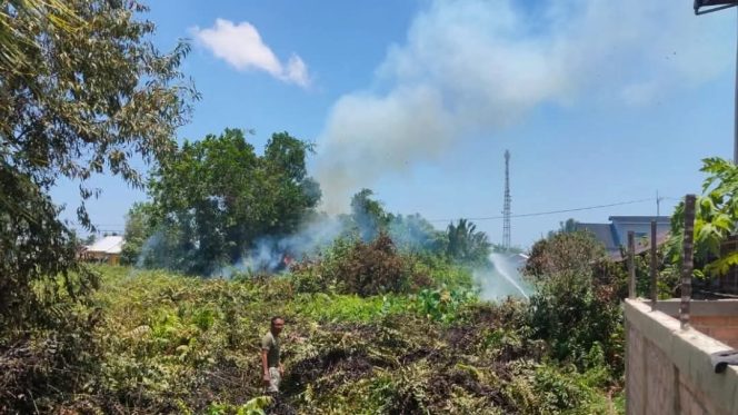 
Potret kebakaran hutan di lahan gambut. (Istimewa)