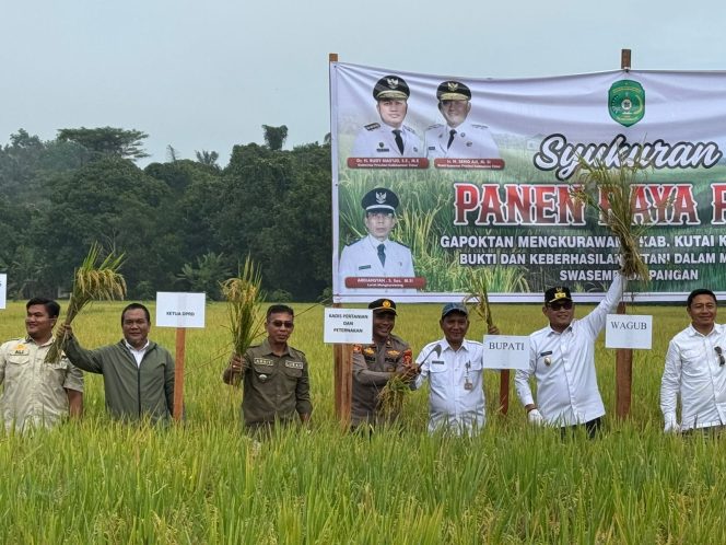 
Wagub Kaltim Seno Aji bersama pejabat daerah mengikuti panen raya padi di Tenggarong. (Angga/okeborneo.com)