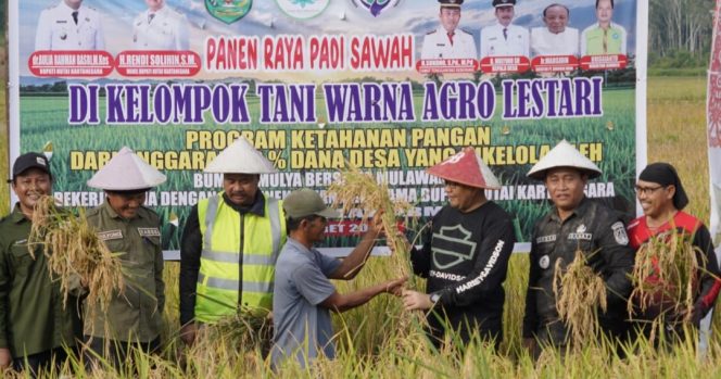 
Bupati Kukar Aulia Rahman Basri menghadiri panen raya padi sawah bersama petani Kelompok Tani Wana Agro Lestari di Desa Mulawarman. (Istimewa)