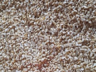 Kedelai sebagai bahan baku utama tempe mengalami kenaikan harga sejak awal 2026, mendorong pengrajin di Tenggarong menyiasati produksi dengan mengecilkan ukuran tanpa menaikkan harga. (angga/okeborneo.com)