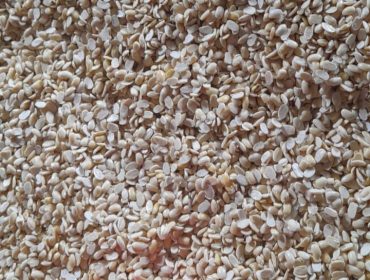 Kedelai sebagai bahan baku utama tempe mengalami kenaikan harga sejak awal 2026, mendorong pengrajin di Tenggarong menyiasati produksi dengan mengecilkan ukuran tanpa menaikkan harga. (angga/okeborneo.com)