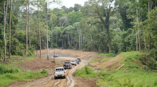 Rombongan kendaraan melintas di ruas Jalan Tering–Ujoh Bilang yang menjadi akses darat menuju Mahakam Ulu. (Istimewa)