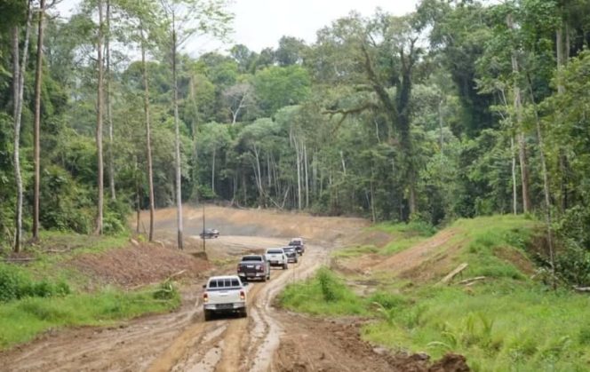 
Rombongan kendaraan melintas di ruas Jalan Tering–Ujoh Bilang yang menjadi akses darat menuju Mahakam Ulu. (Istimewa)