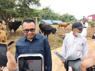 Bupati Kutai Kartanegara, Aulia Rahman Basri, meninjau pemeriksaan kesehatan hewan kurban di Jalan Lais, Kelurahan Timbau, Tenggarong. (Angga/okeborneo.com)