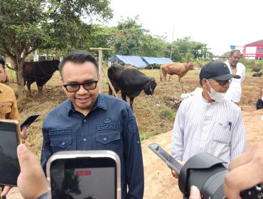 Bupati Kutai Kartanegara, Aulia Rahman Basri, meninjau pemeriksaan kesehatan hewan kurban di Jalan Lais, Kelurahan Timbau, Tenggarong. (Angga/okeborneo.com)