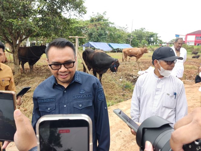 
Bupati Kutai Kartanegara, Aulia Rahman Basri, meninjau pemeriksaan kesehatan hewan kurban di Jalan Lais, Kelurahan Timbau, Tenggarong. (Angga/okeborneo.com)
