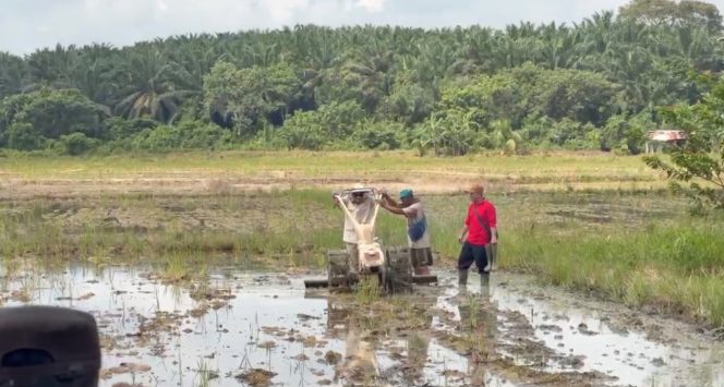 
Bupati Kutai Kartanegara Aulia Rahman Basri mencoba mengoperasikan hand tractor bersama petani saat menghadiri syukuran pemanfaatan prasarana pertanian di Desa Bunga Jadi, Kecamatan Muara Kaman, Jumat (5/6/2026). (Istimewa)