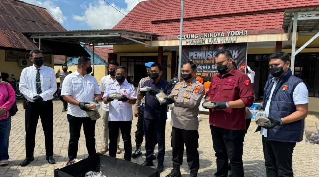 Personel Polsek Loa Kulu bersama unsur terkait menunjukkan barang bukti ganja sebelum dimusnahkan di Mapolsek Loa Kulu, Rabu (3/6/2026). (Angga/okeborneo.com)