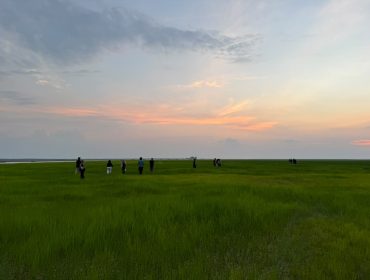 Hamparan Hijau di Danau Semayang yang mengering akibat Cuaca Ekstream di Desa Pela (Angga/okeborneo.com)