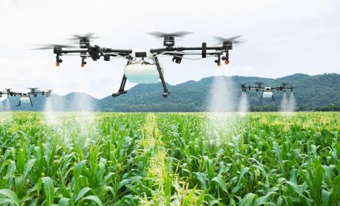 
Distanak Kukar Gandeng BI Latih Petani Gunakan Drone Sprayer, Penyemprotan 1 Hektare Bisa Tuntas 3 Jam